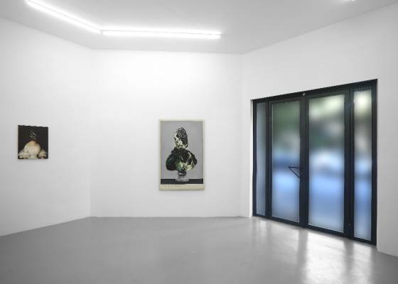 Ewa Juszkiewicz, 'Pearl, Eye, Worm', exhibition view, Galerie Rolando Anselmi | Rome, 2017