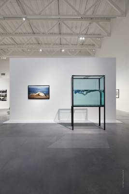 The Beguiling Siren is Thy Crest, exhibition view, Museum of Modern Art in Warsaw, Poland, 2017